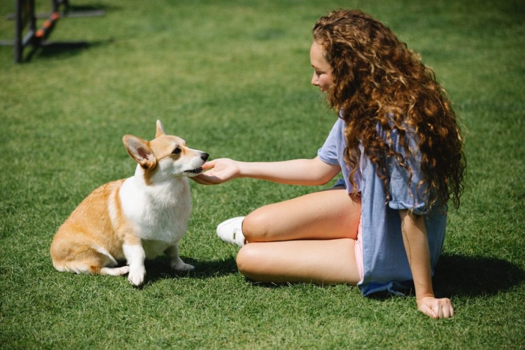 pexels-blue-bird-7210264-1